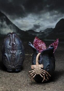 NECA Alien Covenant Figuren - Accessory Creature Pack -Angebote Figuren Store 1efb941ad3d468bbc698f86572442a1e591a7ed027d71572a6f72950293b5ac4