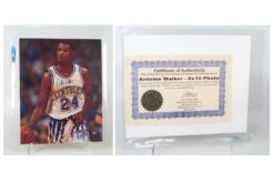 Diverse Antoine Walker Autographed Photograph