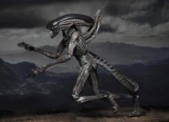 NECA Alien Covenant - Xenomorph Alien Actionfigur -Angebote Figuren Store 3010d9ad3dbdbbfbfeb4b5cfbea0e6209e0c6f43693fb7286b3cc5c04a8ed201