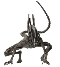 NECA Alien Covenant - Xenomorph Alien Actionfigur -Angebote Figuren Store 5cc443c13cb5f7e568bac9c8f500d6a826f4dfe691be3fa82c9034cc350dbccd