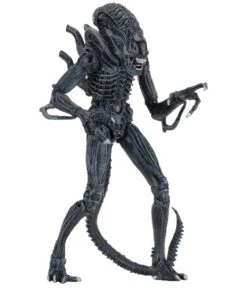 NECA Aliens (1986) - Blue Ultimate Alien Warrior Actionfigur 9 NECA Aliens (1986) - Blue Ultimate Alien Warrior Actionfigur -Angebote Figuren Store 6b41a5b0bfb6c6e2bbd3b880e26339a4ff508cb3d9ceca140982c4e431ff372b