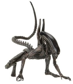 NECA Alien Covenant - Xenomorph Alien Actionfigur -Angebote Figuren Store 78383975e136ddc68107137173ba2fdaf95027b36699aeefebb7170ff3e1721d