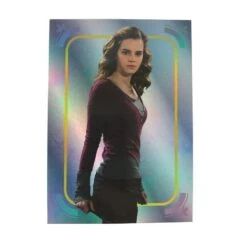 Panini Harry Potter Evolution Trading Cards Starterset (EN) -Angebote Figuren Store harry potter evolution silver parallel 2